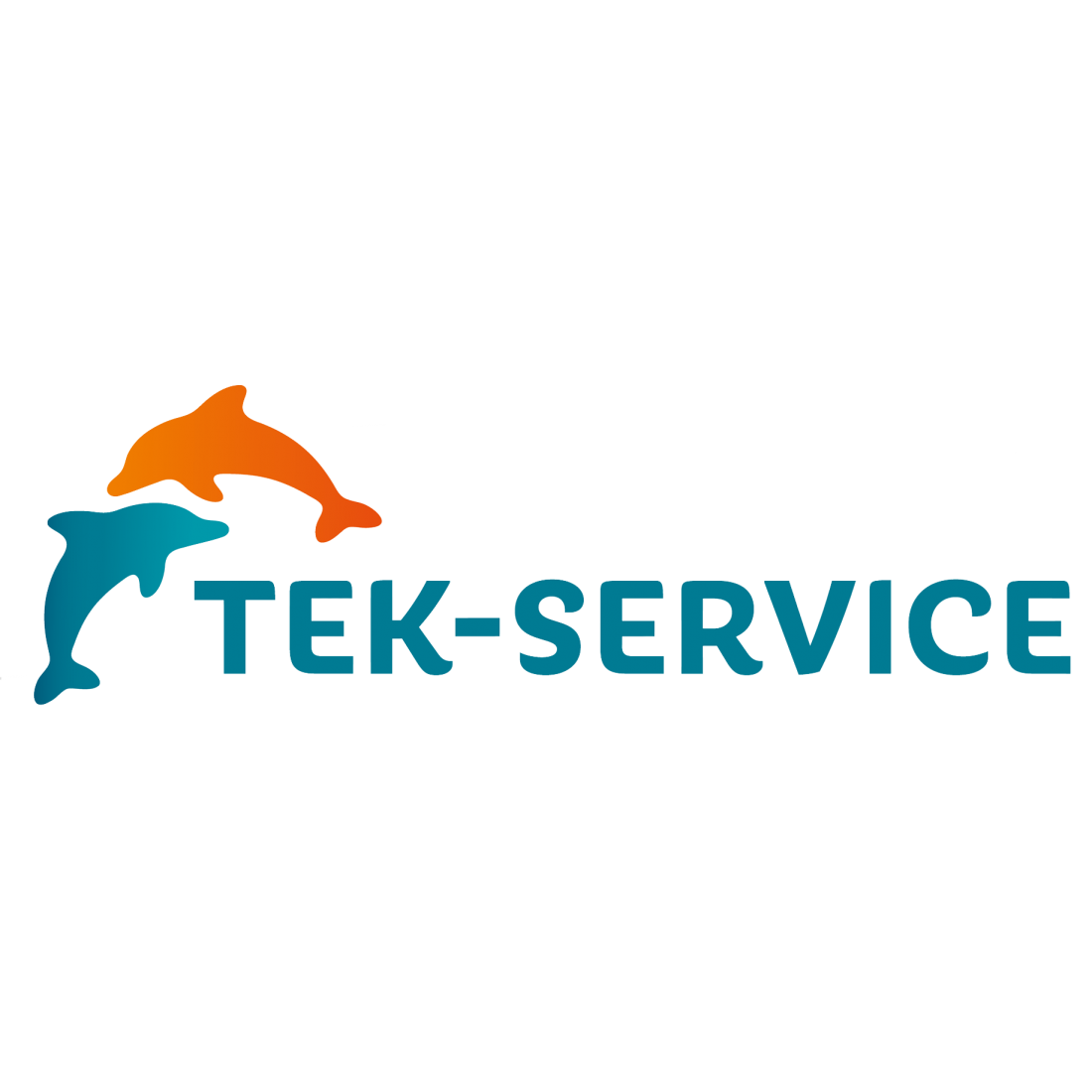 TEK-Service AG