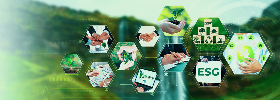 Wolinda Interview Grafik