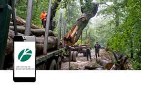 Digital, mobil und mit Kartenfunktionalität: Die neue App der Bayerischen Staatsforsten ist richtungsweisend