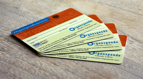 Organspendeausweise