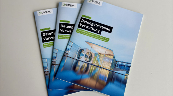 Interviewstudie - Datengetriebene Verwaltung