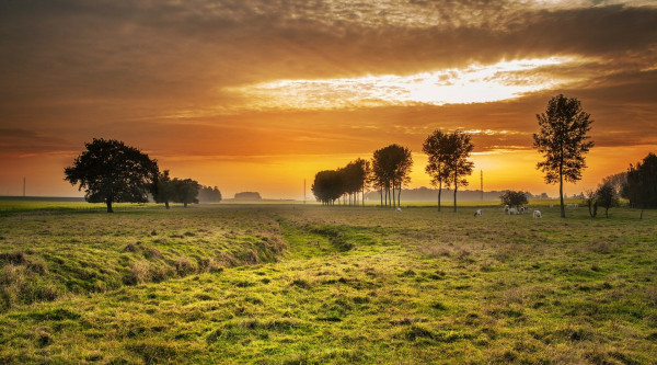 Landschaft mit Sonnenuntergang