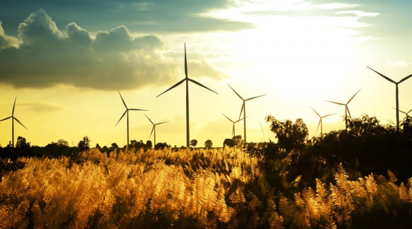 Erneuerbare Energie Nachhaltigkeit