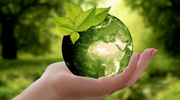Symbolbild Nachhaltigkeit: eine Hand hält eine grüne Weltkugel