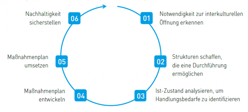 Ablauf interkulturelle Organisationsentwicklung