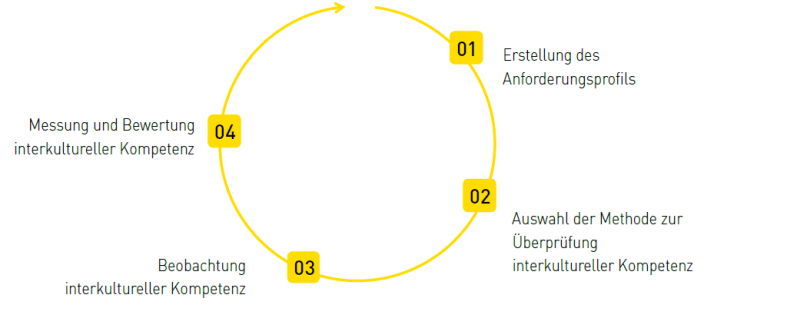 Kreislauf der interkulturellen Personalentwicklung