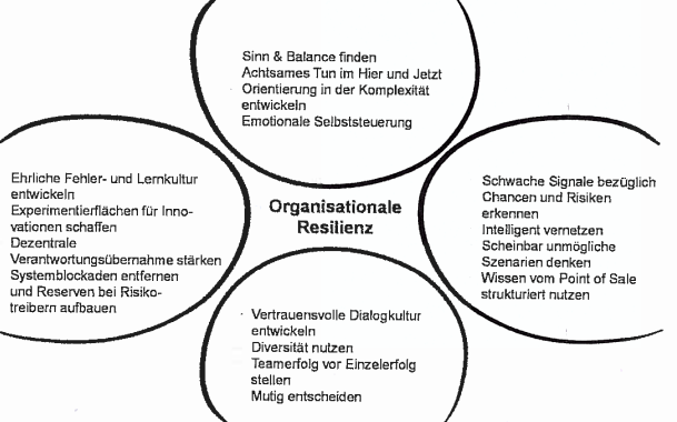 Organisationelle Resilienz