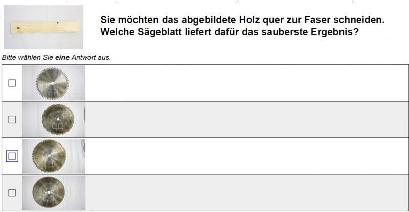 Beispiel einer Fachfrage aus dem MYSKILLS-Test