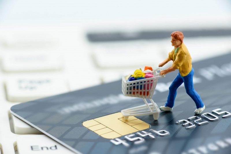 E-Commerce; Staat; Portalverbund; Anspruch; Usability; Sicherheit; E-Payment