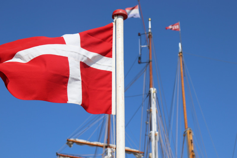 Dänische Flagge; Digitalisierung; Verwaltung