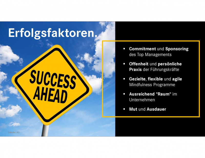 Grafische Darstellung Erfolgsfaktoren