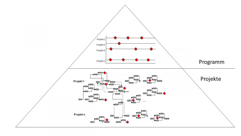 Grafik, die den Zusammenhang von Zusammenhang von Programm und Projekten darstellt