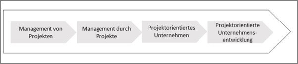 Grafik: Entwicklungsprozess projektorientierte Unternehmen