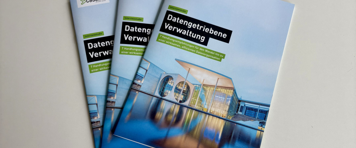 Interviewstudie - Datengetriebene Verwaltung