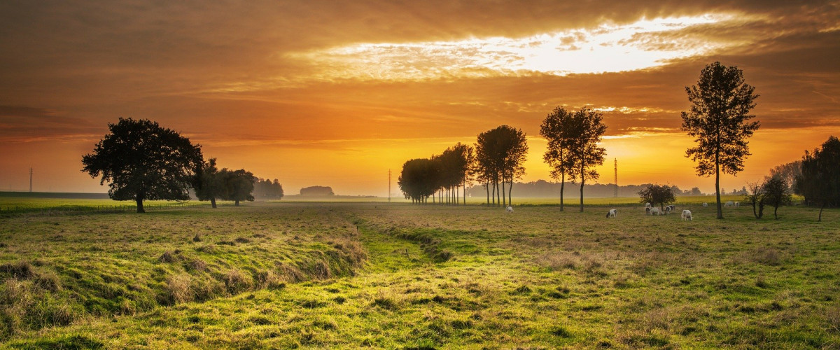 Landschaft mit Sonnenuntergang