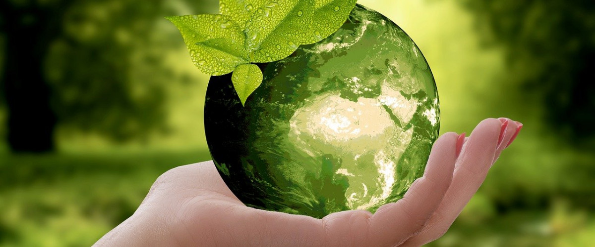 Symbolbild Nachhaltigkeit: eine Hand hält eine grüne Weltkugel