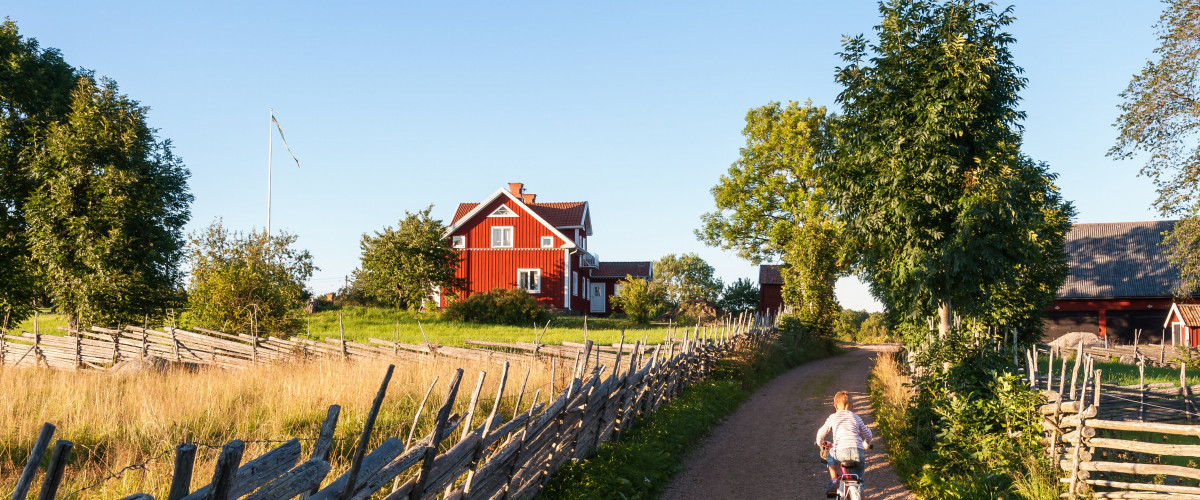 Schweden; Digitalisierung; Land; Verwaltung; Daten; Register